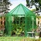 Mini Walk-In Greenhouse with PE Cover 78” x 68” x 75” Portable Garden Plant House